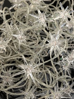 Noel Ağacı Işıkları