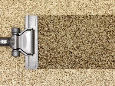 Elektrik süpürgesi.