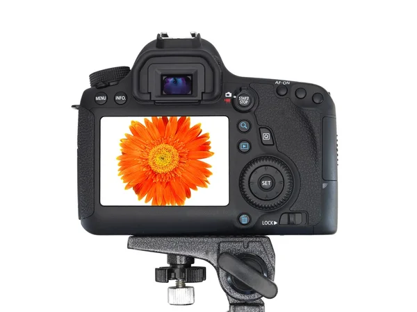 Digitalt SLR-kamera – stockfoto