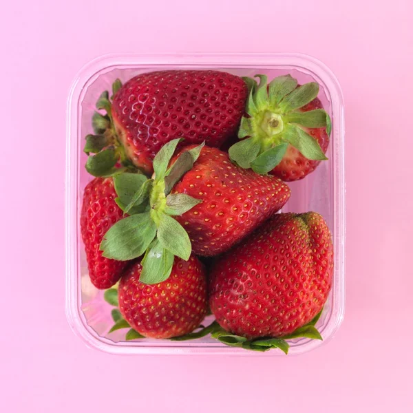 Voedsel container — Stockfoto