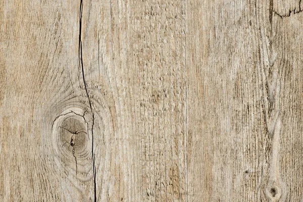 Wood Grain Close Up — Stock Photo, Image