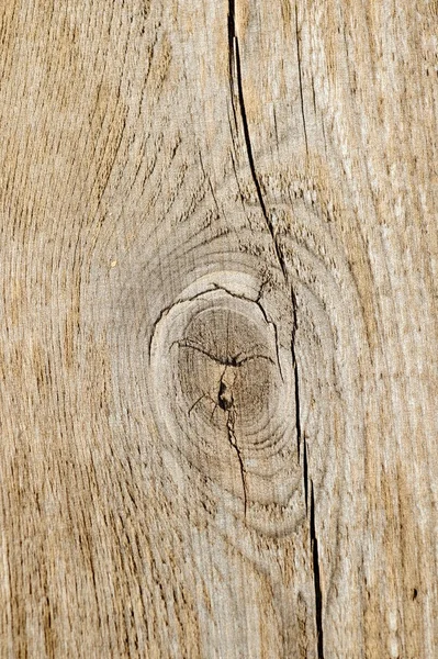 Venatura del legno da vicino — Foto Stock