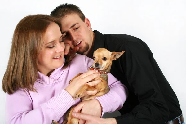 Casal segurando pequeno chihuahua — Fotografia de Stock