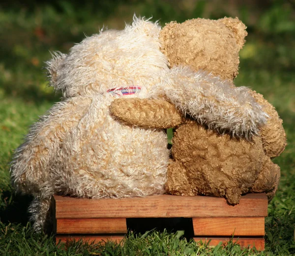 Медведи Тедди на скамейке — стоковое фото