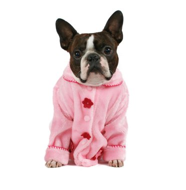 Boston korkunç ceket giymiş