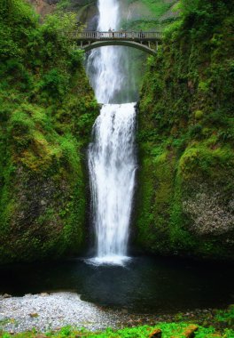 Multnomah şelaleler