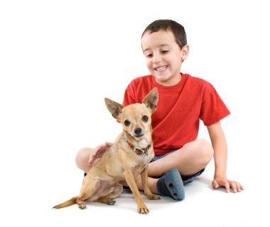 Genç çocuk sevişme minik chihuahua