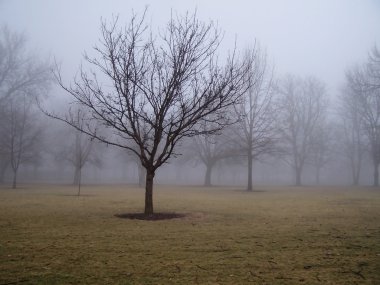 sisli gün Park