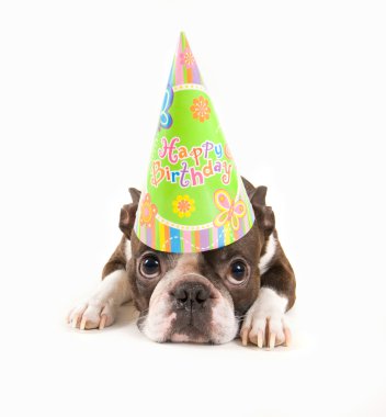 Boston korkunç doğum günü şapkası