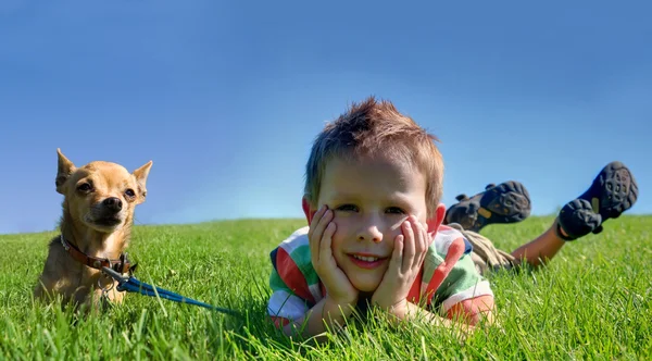 Niño y chihuahua en hierba — Foto de Stock