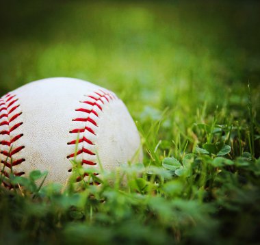 Beyzbolda çimen