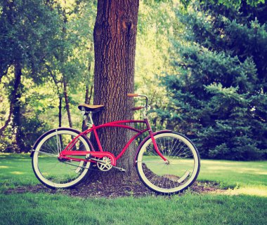 Vintage Bisiklet park