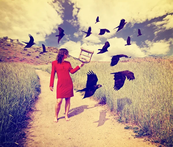 Girl in field with birds — Stock Photo, Image