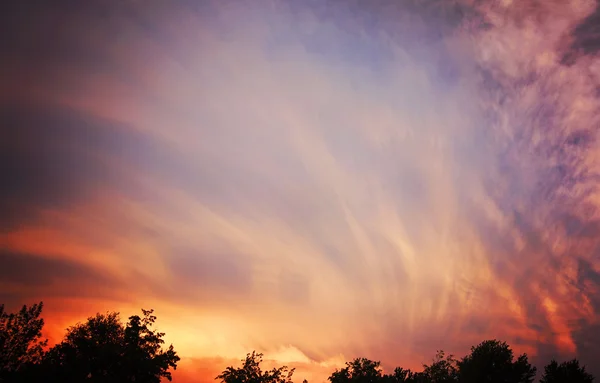 Puesta de sol sobre la copa del árbol — Foto de Stock