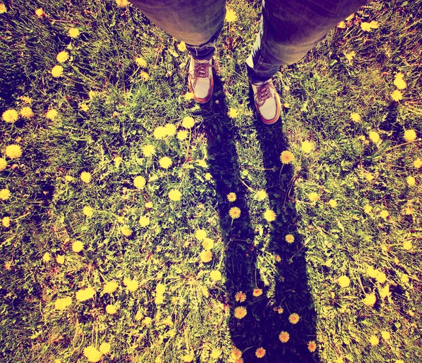 Feet on a meadow with dandelions