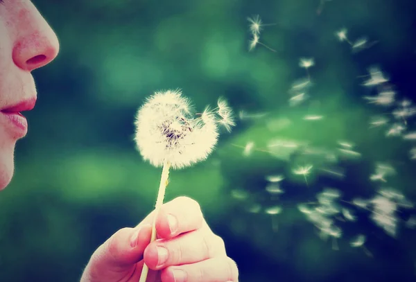 Woman blowing on dandelion — Stock Photo, Image