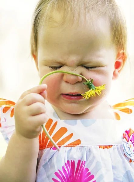 Toddler girl sniffing a dandelion — Stock Photo, Image