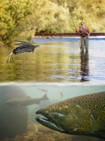 Person fly fishing in a river — Stock Photo, Image