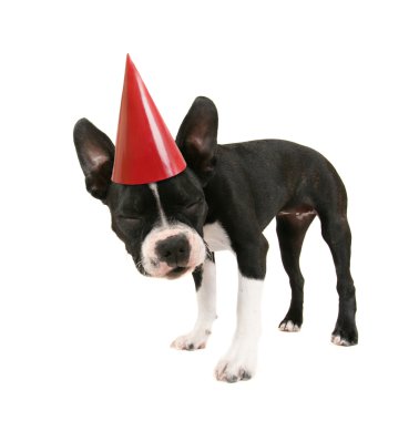 Boston korkunç doğum günü şapkası