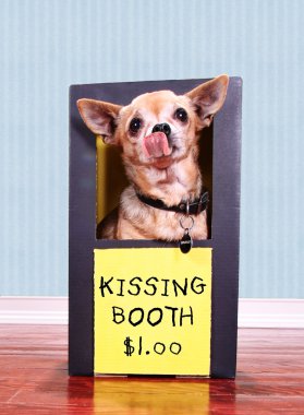 köpek kulübesi öpüşme ile
