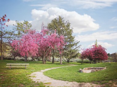 yol ve tezgah Park