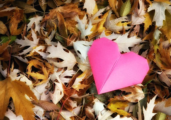 Serce origami w stos liści — Zdjęcie stockowe