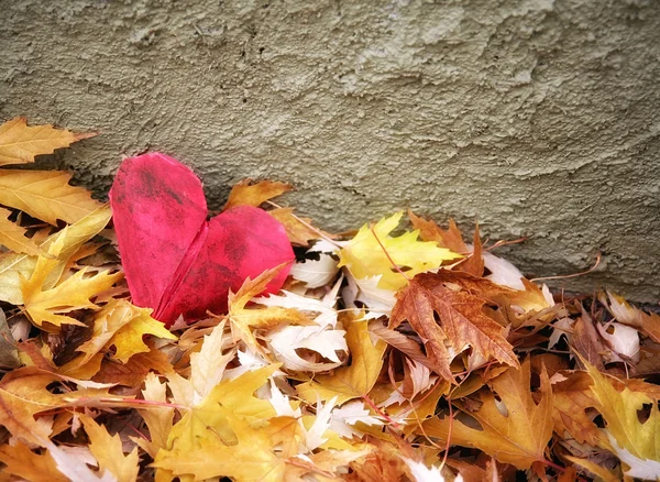 Origami srdce v hromadě listí — Stock fotografie