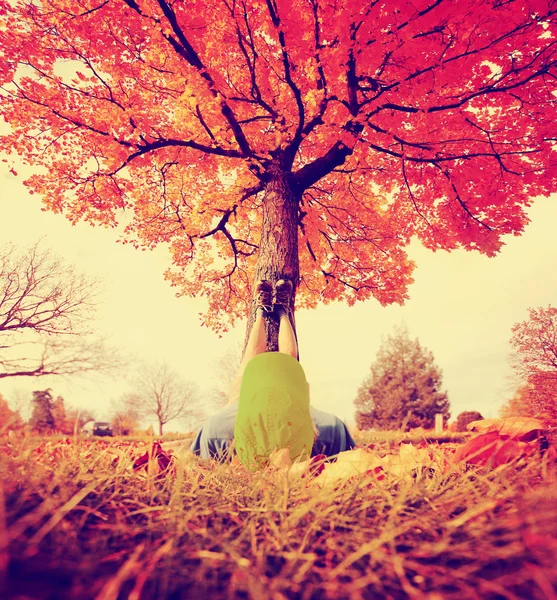 Pies apoyados en tronco de árbol — Foto de Stock