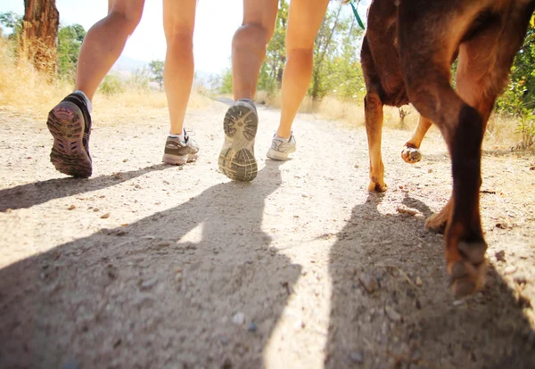 Hund ut med två kvinnor — Stockfoto