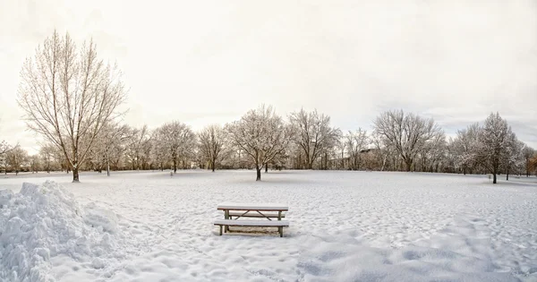 雪と木の冬の風景 — ストック写真