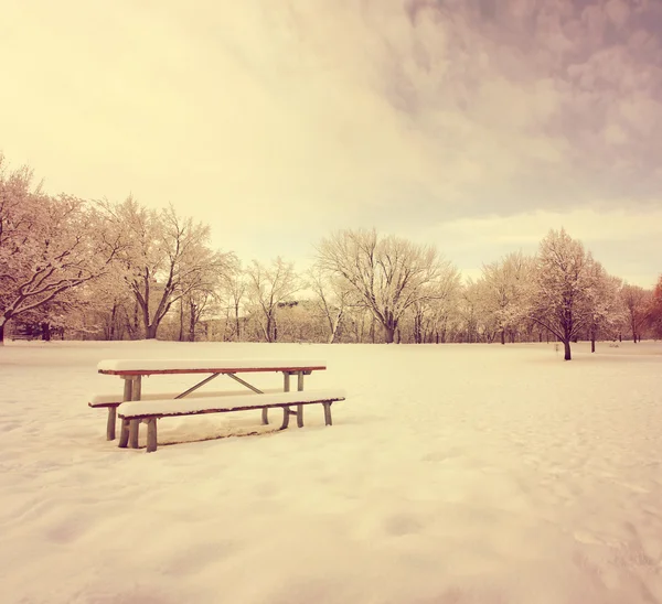 Winterlandschap met sneeuw en bomen — Stockfoto