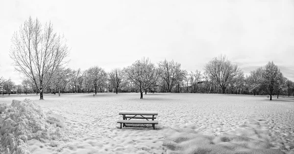 Zimowy krajobraz ze śniegiem i drzewami — Zdjęcie stockowe