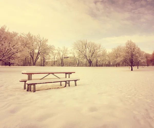 Зимний пейзаж со снегом и деревьями — стоковое фото