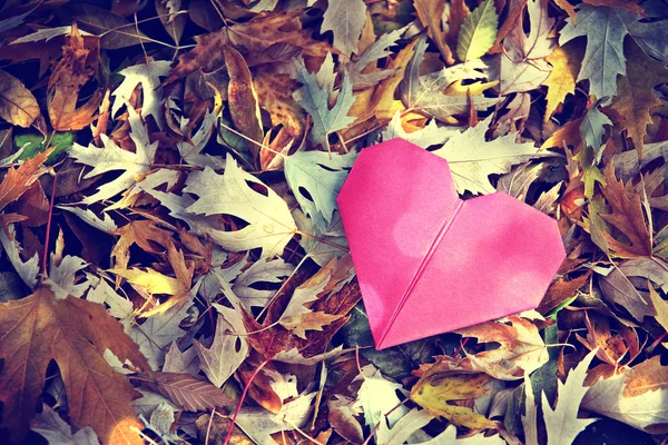 Discarded paper heart — Stock Photo, Image