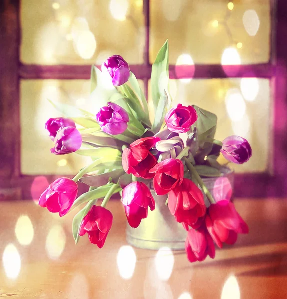 Tulips — Stock Photo, Image