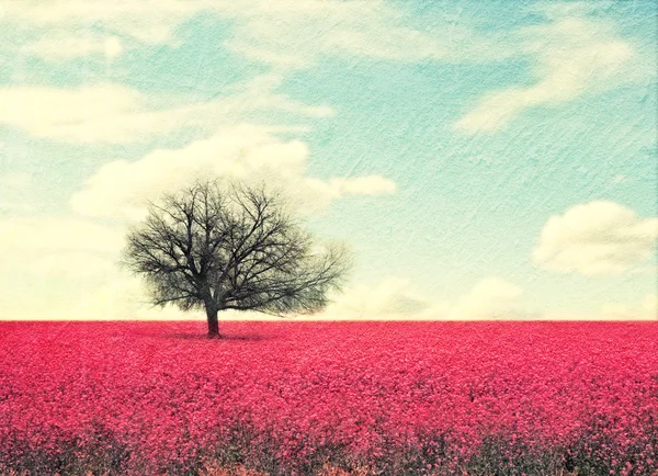 Lanscape con campo rosa e albero — Foto Stock