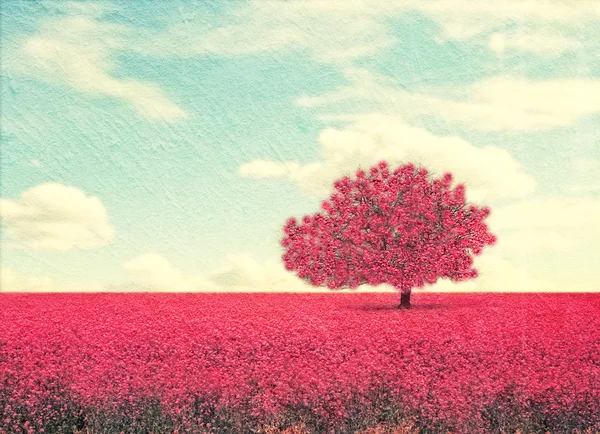 Lanscape with pink field and tree — Stock Photo, Image