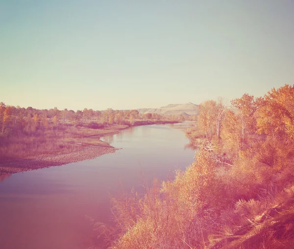 Río con árboles — Foto de Stock