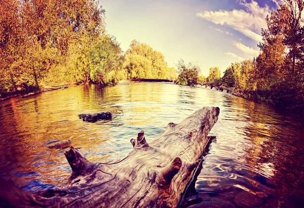 Rivière coulant en automne — Photo