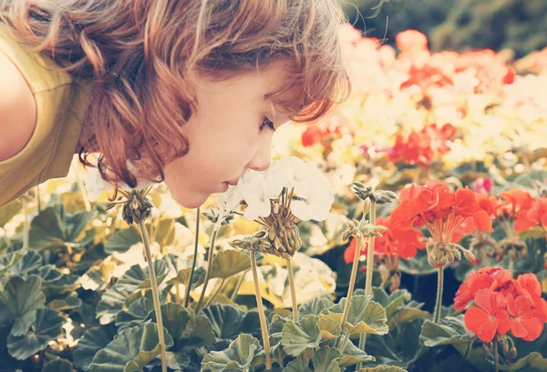 Klein meisje ruiken sommige bloemen — Stockfoto