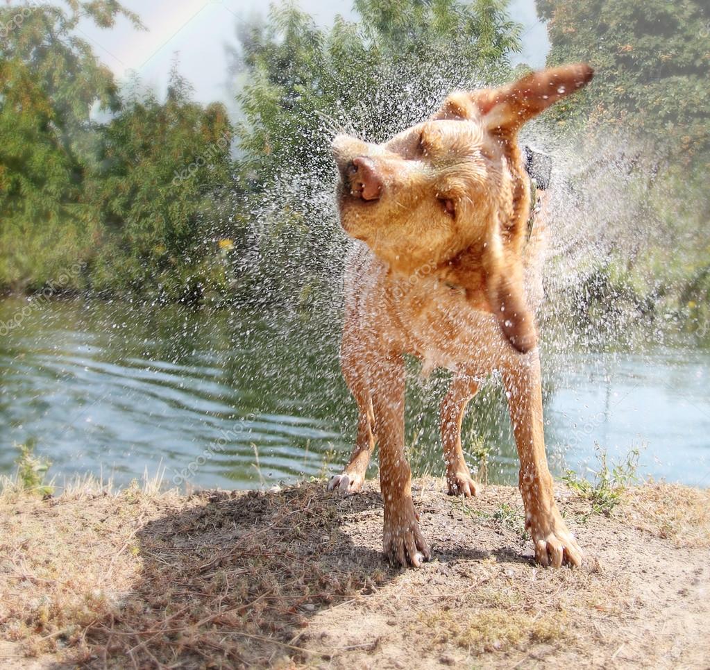 Запах мокрой. Мокренькая после дождя. Запах мокрой земли после дождя. Парфюм с запахом мокрого асфальта. Дождь.