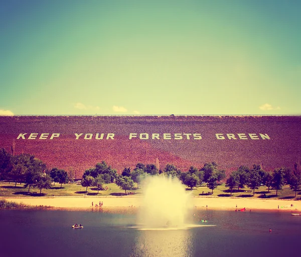 Keep our forests green — Stock Photo, Image