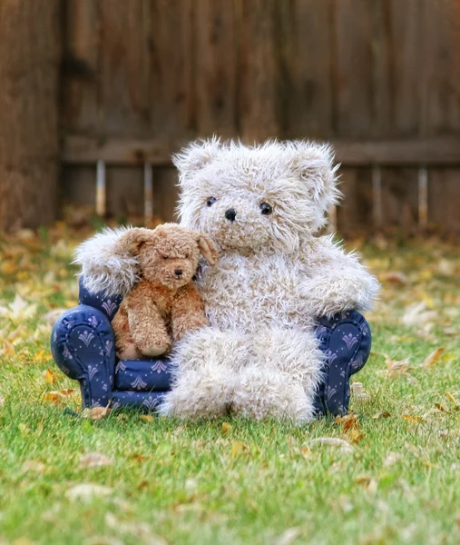 Плюшевий ведмідь на дивані з іграшковим собакою — стокове фото