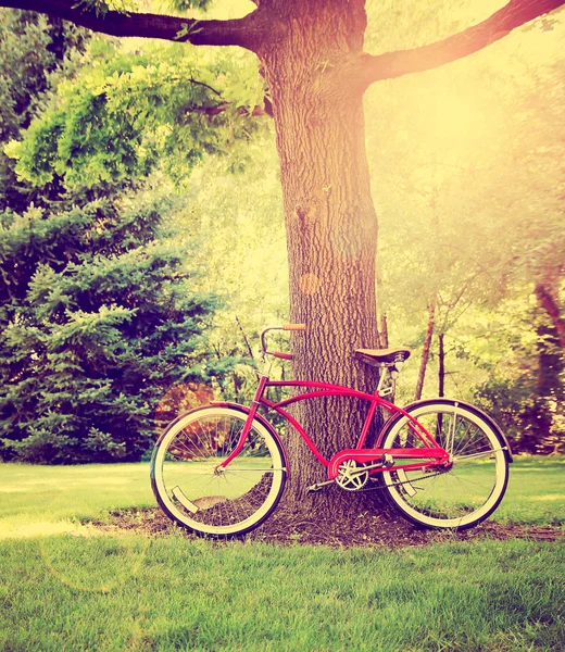 Bicicleta vieja apoyada contra el árbol — Foto de Stock