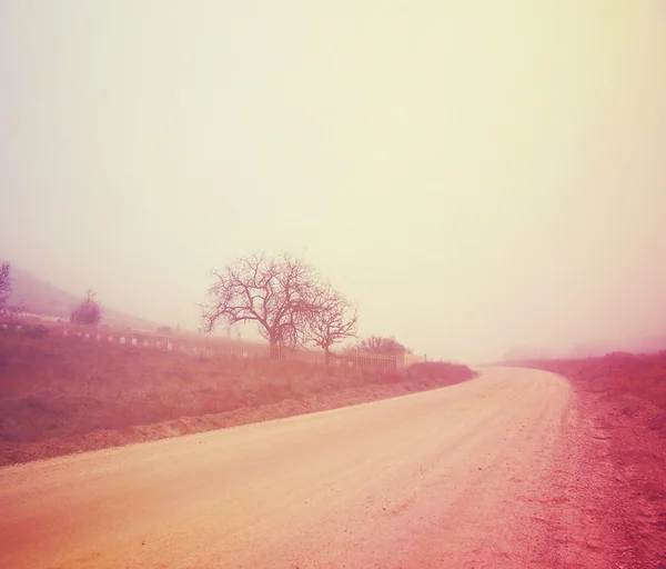 Albero in inverno senza foglie — Foto Stock