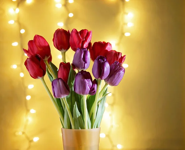 Tulips in front of bokeh. — Stock Photo, Image