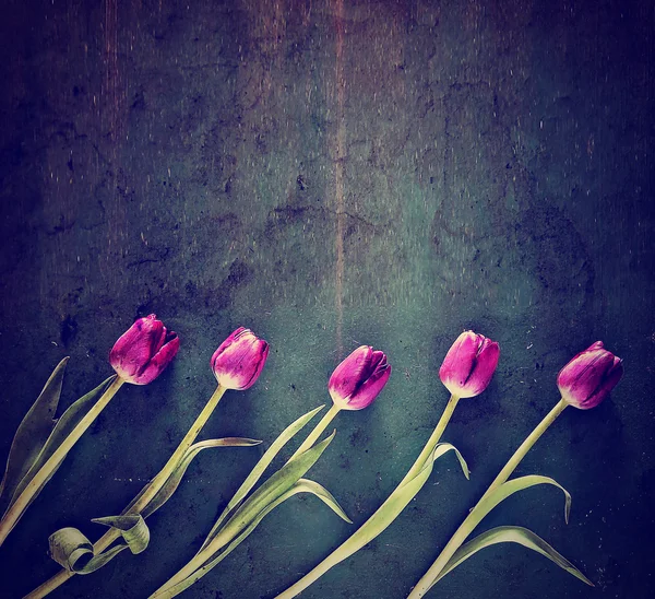 Tulipanes en una tabla de madera —  Fotos de Stock