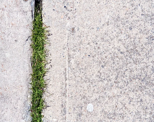 Ziegel mit Gras — Stockfoto