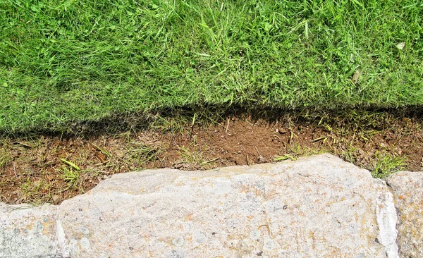Sten och gräs — Stockfoto