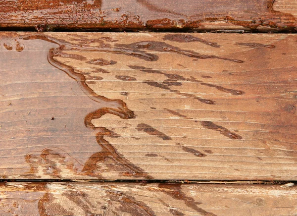 Textura de madeira com padrões naturais — Fotografia de Stock